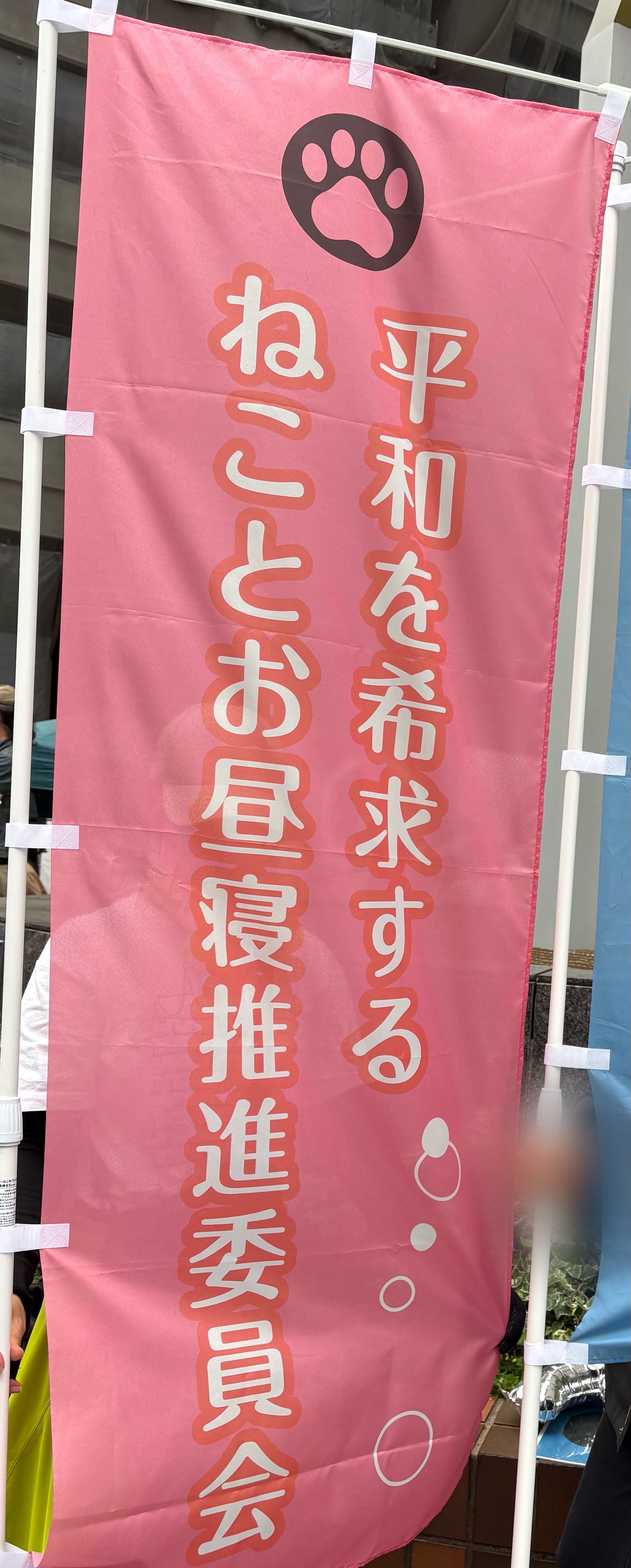 平和を希求する ねことお昼寝推進委員会